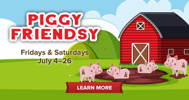 Piggy Friendsy